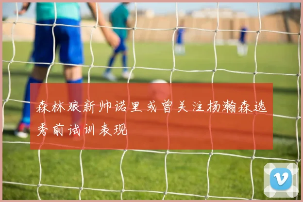 森林狼新帅诺里或曾关注杨瀚森选秀前试训表现