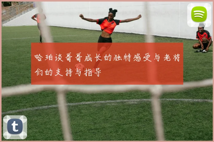 哈珀谈哥哥成长的独特感受与老将们的支持与指导