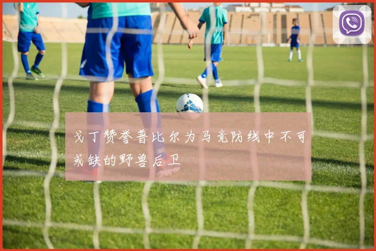 戈丁赞誉普比尔为马竞防线中不可或缺的野兽后卫